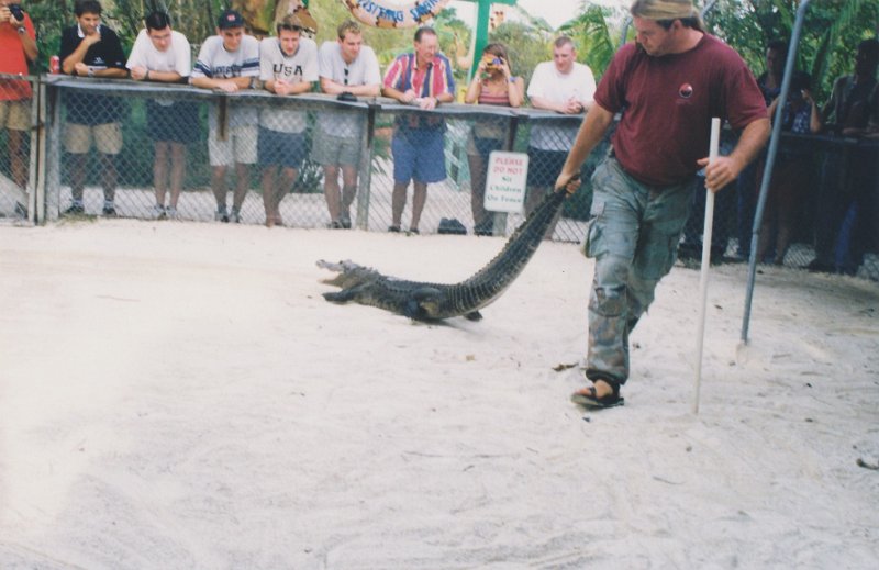 018-At the alligator show.jpg